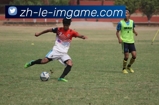 App Interface Preview